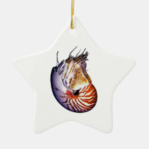 ADORNO DE CERÁMICA EL NAUTILUS ASOMBROSO