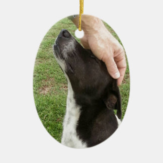 Adorno De Cerámica ¡El perro es el mejor amigo de un hombre!