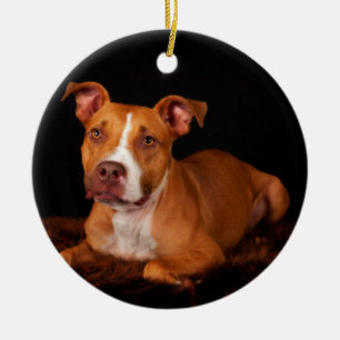 Adorno De Cerámica El Pitty dulce