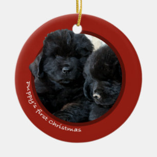 Adorno De Cerámica El primer navidad del perrito (Terranova)