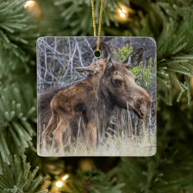 Adorno De Cerámica El recién nacido Moose Calf Nuzzing su madre (Árbol)