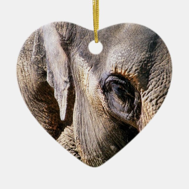 ADORNO DE CERÁMICA ELEFANTE (Frente)