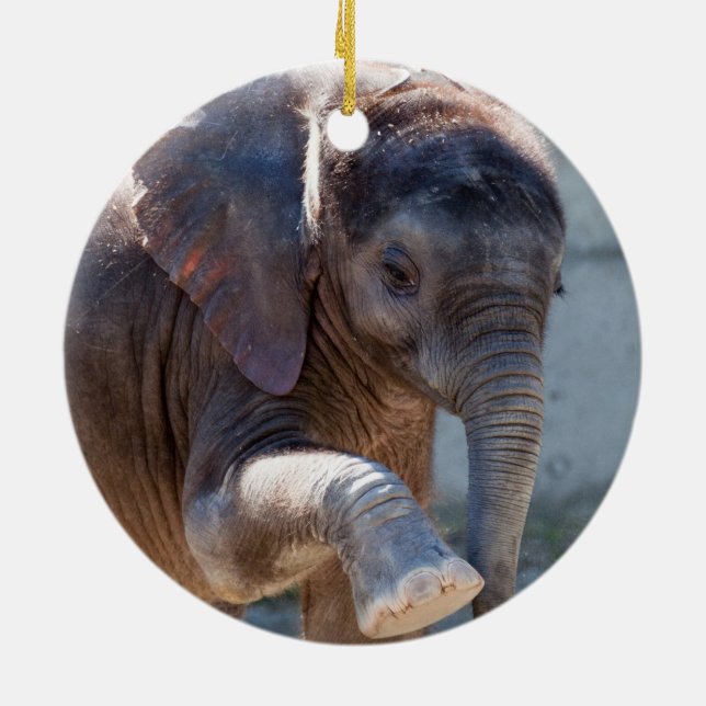 Adorno De Cerámica Elefante bebé (Atrás)