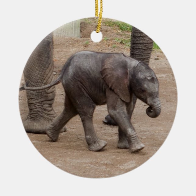 Adorno De Cerámica Elefante bebé (Frente)