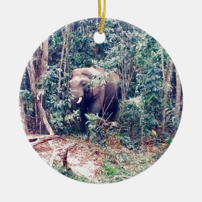 Adorno De Cerámica Elefante en Tailandia (Frente)