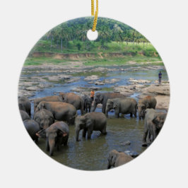 Adorno De Cerámica Elefantes bañándose en el río Sri Lanka