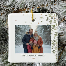 Elegante foto de la vegetación de invierno