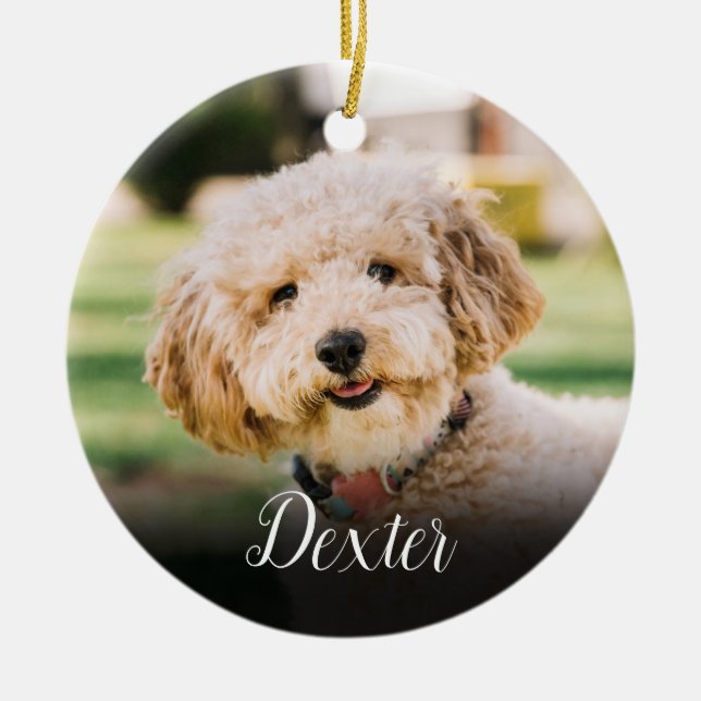 Adorno De Cerámica Elegante monumento a los perros felinos Mascotas (Frente)