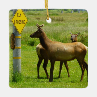 Adorno De Cerámica Elk Crossing California Wildlife