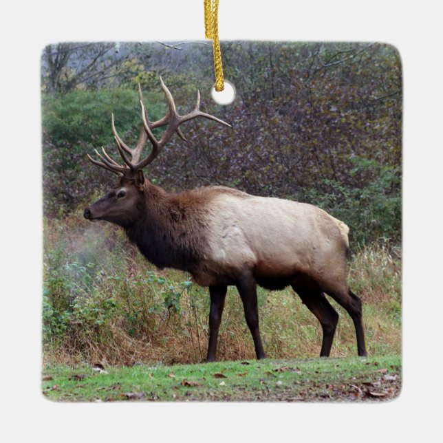 Adorno De Cerámica Elk Ornament (Anverso)