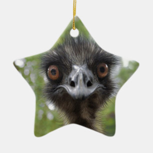 Adorno De Cerámica Emu