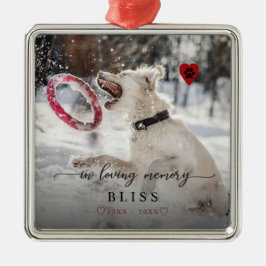 Adorno De Cerámica En el Monograma de impresión de imágenes de Mascot