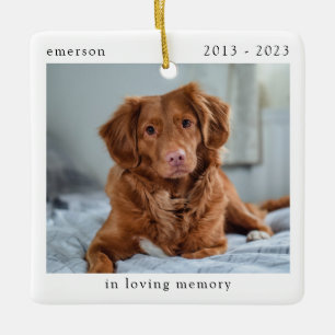 Adorno De Cerámica En homenaje a los Mascotas de la foto de amor por