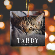 En memoria amorosa Tributo a gato memorial de masc