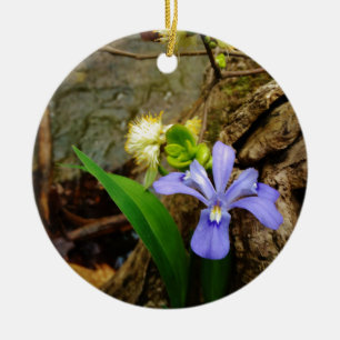 Adorno De Cerámica Enanos enanos Iris flor azul morada blanca