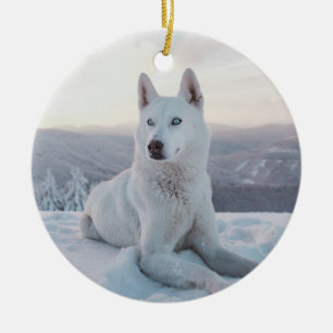 Adorno De Cerámica Encantando Perro blanco Husky en la nieve