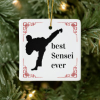 Entrenador de Artes Marciales | Mejor Sensei del M