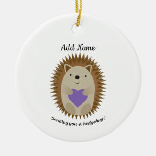 Adorno De Cerámica Enviándote un Hedgehug Hedgehog