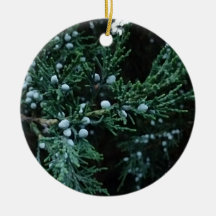 Equitación de la naturaleza Juniper Berries