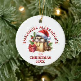 Adorno De Cerámica Erizo Lindo Primera Navidad Personalizada