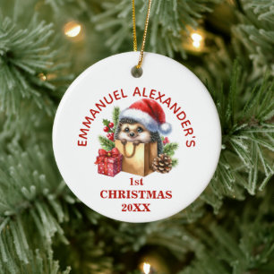 Adorno De Cerámica Erizo Lindo Primera Navidad Personalizada
