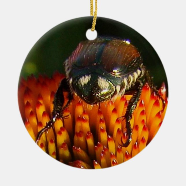 Adorno De Cerámica Error en la flor (Frente)