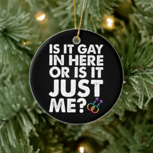 Adorno De Cerámica ¿Es gay aquí o soy solo yo LGBT Pride