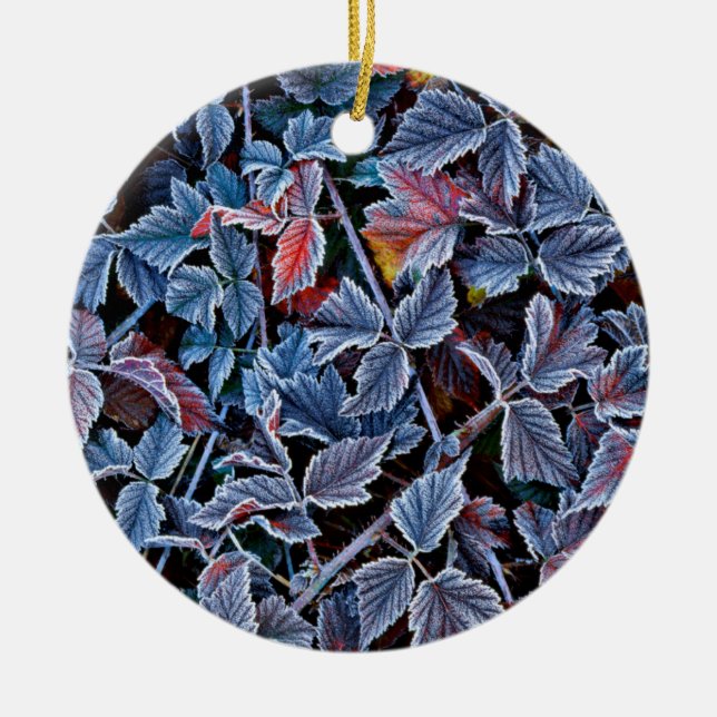 Adorno De Cerámica Escarcha en hojas de otoño, Oregón (Frente)