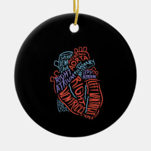 Adorno De Cerámica Especialista en Anatomía Médica Biología Médic