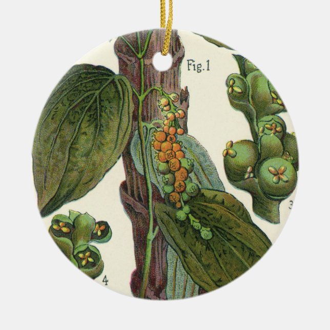 Adorno De Cerámica Especias de hierbas aromáticas, planta de pimienta (Frente)