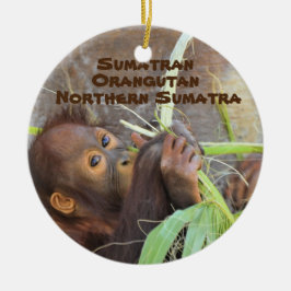 Adorno De Cerámica Especies amenazadas Serie Sumatra Orangutan