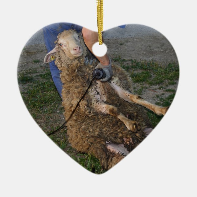 Adorno De Cerámica Esquivamiento de ovejas (Frente)