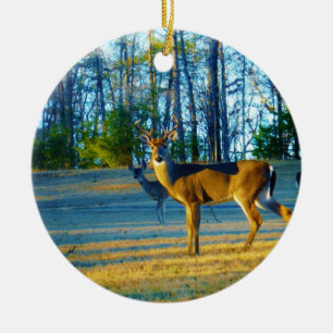 Adorno De Cerámica Estadio/Deer Buck, cielo azul brillante