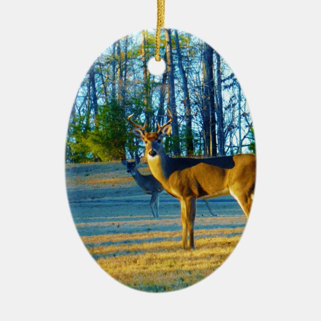 Adorno De Cerámica Estadio/Deer Buck, cielo azul brillante (Frente)