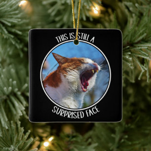 Adorno De Cerámica Este todavía es un meme divertido para gato