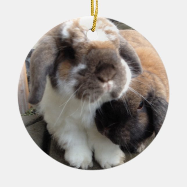 Adorno De Cerámica Estos dos traerán mucho furriness a su árbol (Frente)