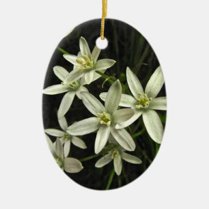 Adorno De Cerámica Estrella de Belén