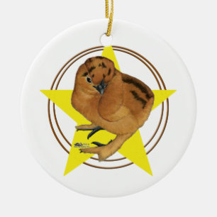 Adorno De Cerámica Estrella de pollo rojo Silkie