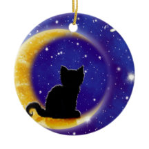 Estrella que mira el gato