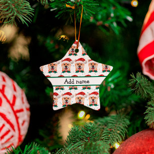 Adorno De Cerámica Estrellas de los Navidades de raza de perro de Shi