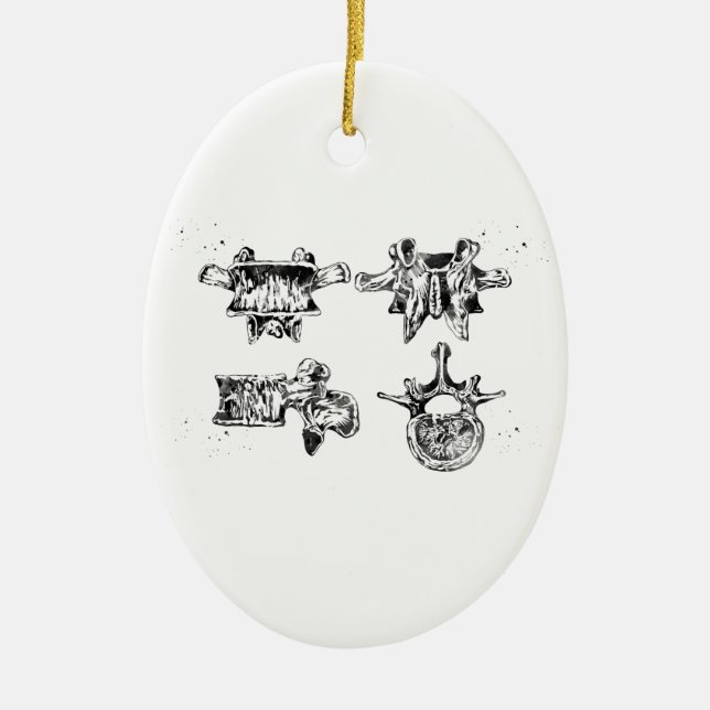 Adorno De Cerámica Estructura de la espina dorsal lumbar (Frente)