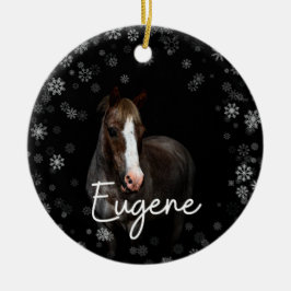 Adorno De Cerámica Eugene Ornament