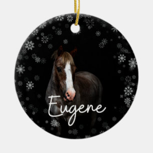 Adorno De Cerámica Eugene Ornament