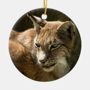 Adorno De Cerámica Eurasian Lynx