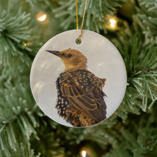 Adorno De Cerámica European Starling Bird Ornament 