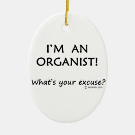 Adorno De Cerámica Excusa orgánica