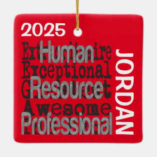 Adorno De Cerámica Extraordinaria profesional de los recursos humanos
