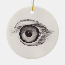 Eye of the Eagle – Gaze Collection