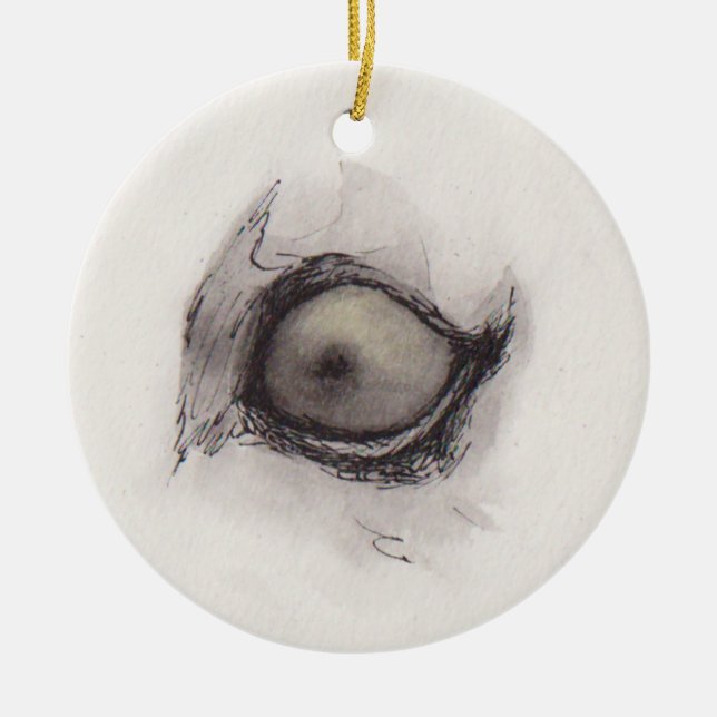 Adorno De Cerámica Eye of the Hyena – Gaze Collection (Frente)