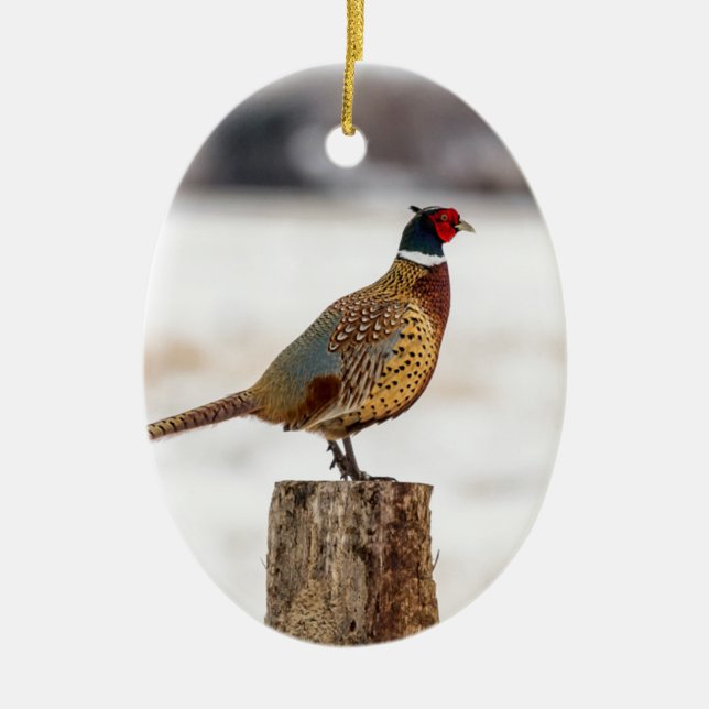 Adorno De Cerámica Faisán (Frente)